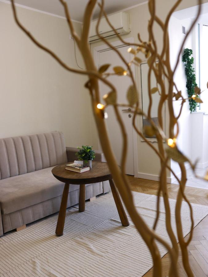 Mina City Center Apartment Amzei ブカレスト エクステリア 写真