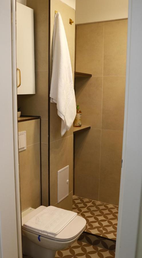 Mina City Center Apartment Amzei ブカレスト エクステリア 写真